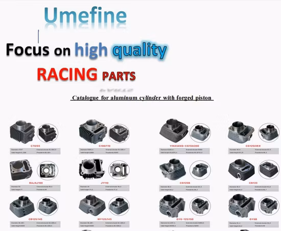 Pièces de rechange de moto chinoise de haute qualité, jeu de cylindres complet pour Fz16